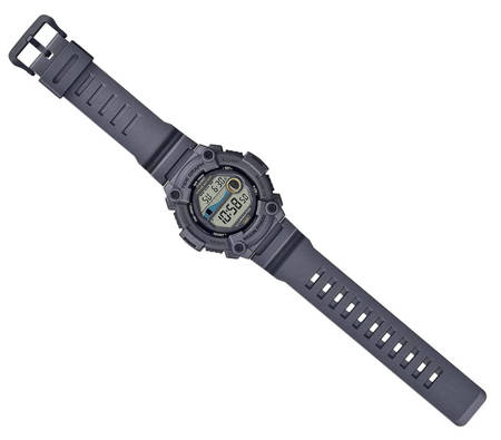 Zegarek Casio Sportowy WS-1300H-8AVEF